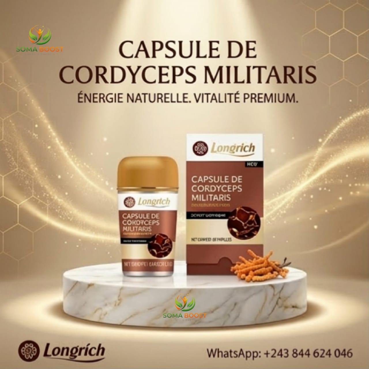 Cordiceps militaris capsules