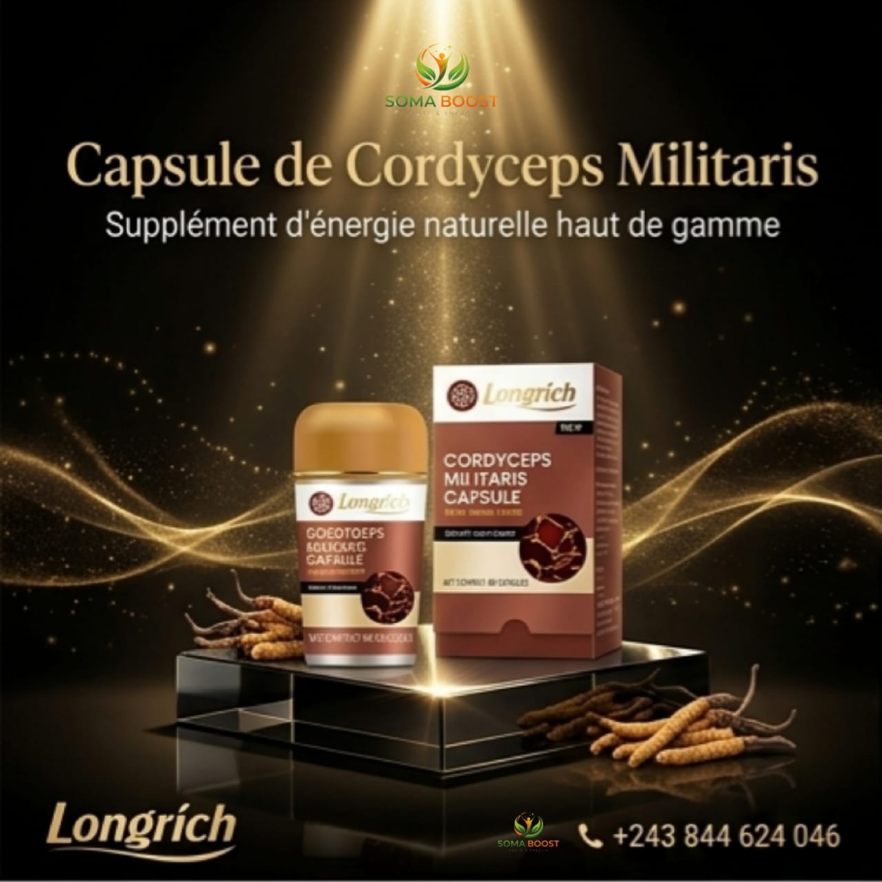 Cordiceps militaris capsules
